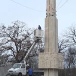 Dar din dar. Povestea brazilor de Crăciun.