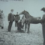 In Memoriam Alexandru Marghiloman. Expoziție dedicată Zilei Naționale a României