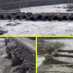 Sate izolate de ploi. Podețe și punți distruse de viitură, în Lopătari