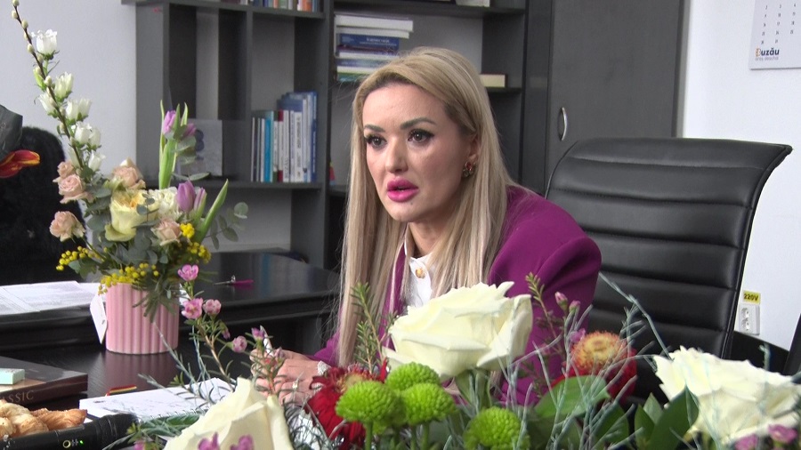 Oana Gheorghiu, obiective de viceprimar