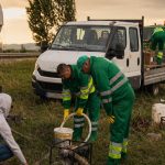 Prima dezinsecție. A fost declanșat atacul împotriva căpușelor