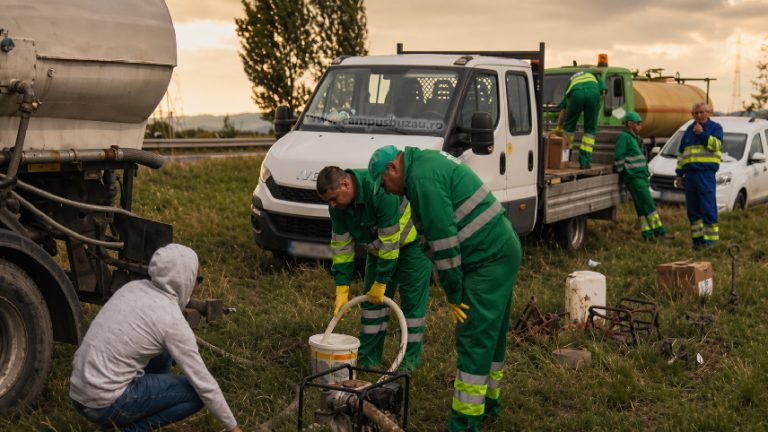 Prima dezinsecție. A fost declanșat atacul împotriva căpușelor