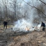 Arderea resturilor vegetale, infracțiune. Amenzi de până la 70.000 de lei, avertizează autoritățile!