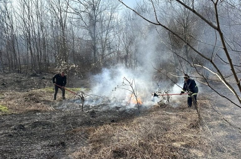 Arderea resturilor vegetale, infracțiune. Amenzi de până la 70.000 de lei, avertizează autoritățile!