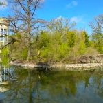 Contrast vizibil. Diferență evidentă între Parcul și Pădurea Crâng