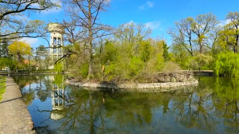 Contrast vizibil. Diferență evidentă între Parcul și Pădurea Crâng