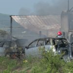 Incendiu devastator! Patru cai de rasă au pierit în flăcări, la Vernești