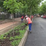 Ultima sută ... Se finalizează Bălcescu