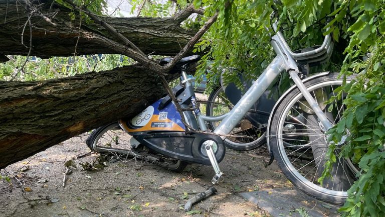 Bicicletele municipale. Victime colaterale ale furtunii
