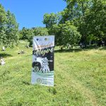 Invitație la Măgura. Tabăra de sculptură vă așteaptă la joacă