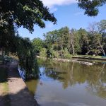 A doua cosire. Heleșteul trebuie curățat din nou