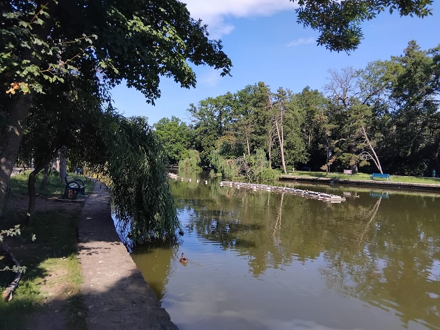A doua cosire. Heleșteul trebuie curățat din nou