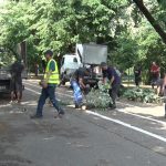 Furtună mare. S-au rupt mulți copaci în Crâng