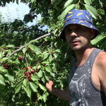 (VIDEO) Au schimbat Italia pe o livadă. România îi trimite acum înapoi