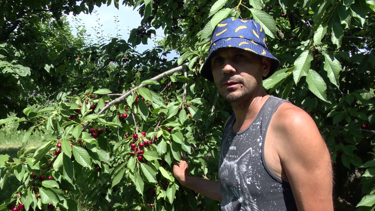 (VIDEO) Au schimbat Italia pe o livadă. România îi trimite acum înapoi