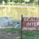 Poluare pe lac? Sunt așteptate rezultatele analizelor