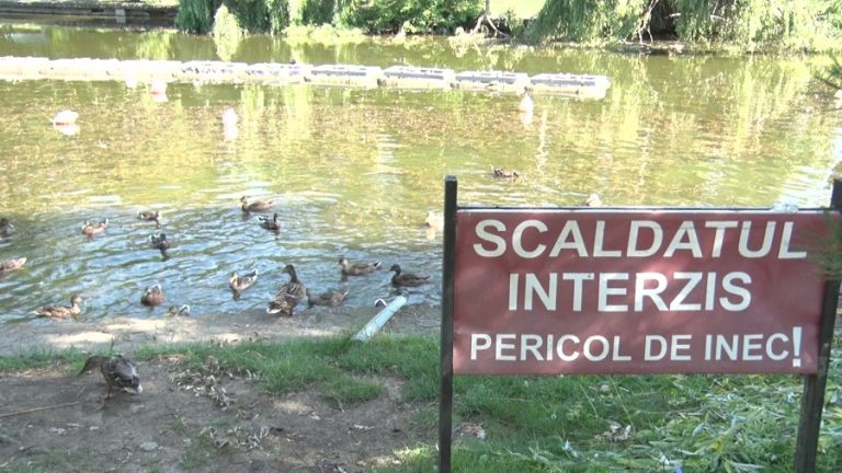 Poluare pe lac? Sunt așteptate rezultatele analizelor