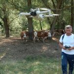 Drona care păzește cireada. Soluția unui fermier pentru lipsa oamenilor