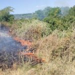 Incendiu de amploare la Podgoria. În doar câteva ore, au ars 100 de hectare de vegetație