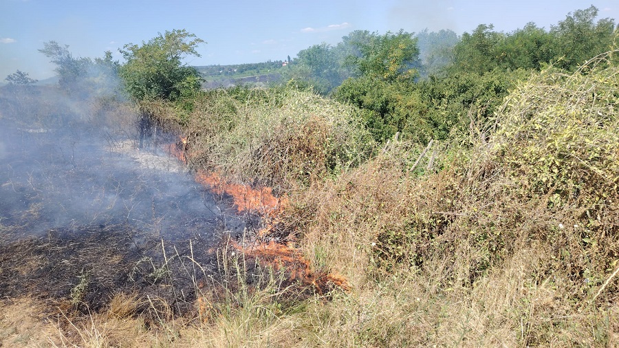 Incendiu de amploare la Podgoria. În doar câteva ore, au ars 100 de hectare de vegetație