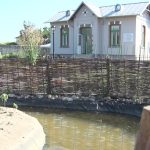 Tabăra din parc. Copiii descoperă natura