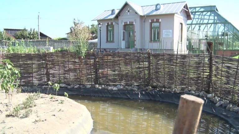 Tabăra din parc. Copiii descoperă natura