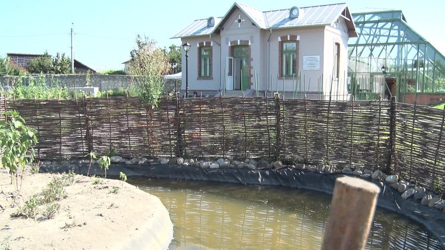 Tabăra din parc. Copiii descoperă natura