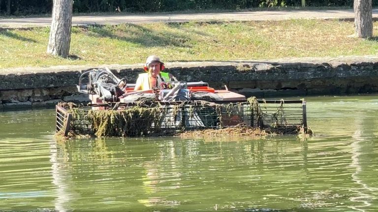 Curat murdar ... Heleșteul trebuie curățat în profunzime