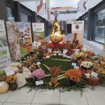 Miniexpoziție de bunătăți. Cele mai faine produse ale toamnei