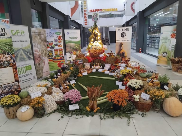 Miniexpoziție de bunătăți. Cele mai faine produse ale toamnei