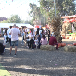 Gospodarii au dat gust weekend-ului. Producătorii şi-au etalat produsele la "Toamna Verneşteană"