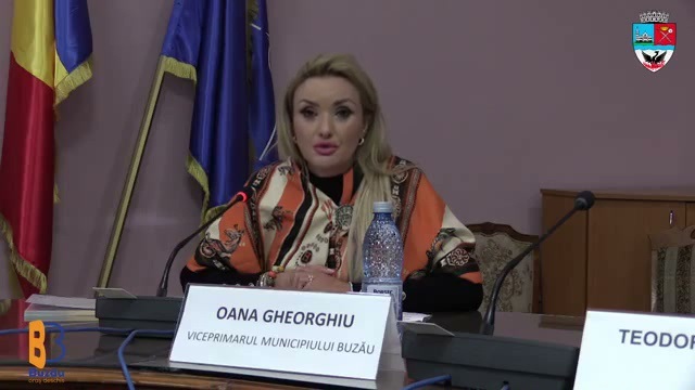 Indemnizații neschimbate. Oana Gheorghiu a propus menținerea indemnizațiilor fixe